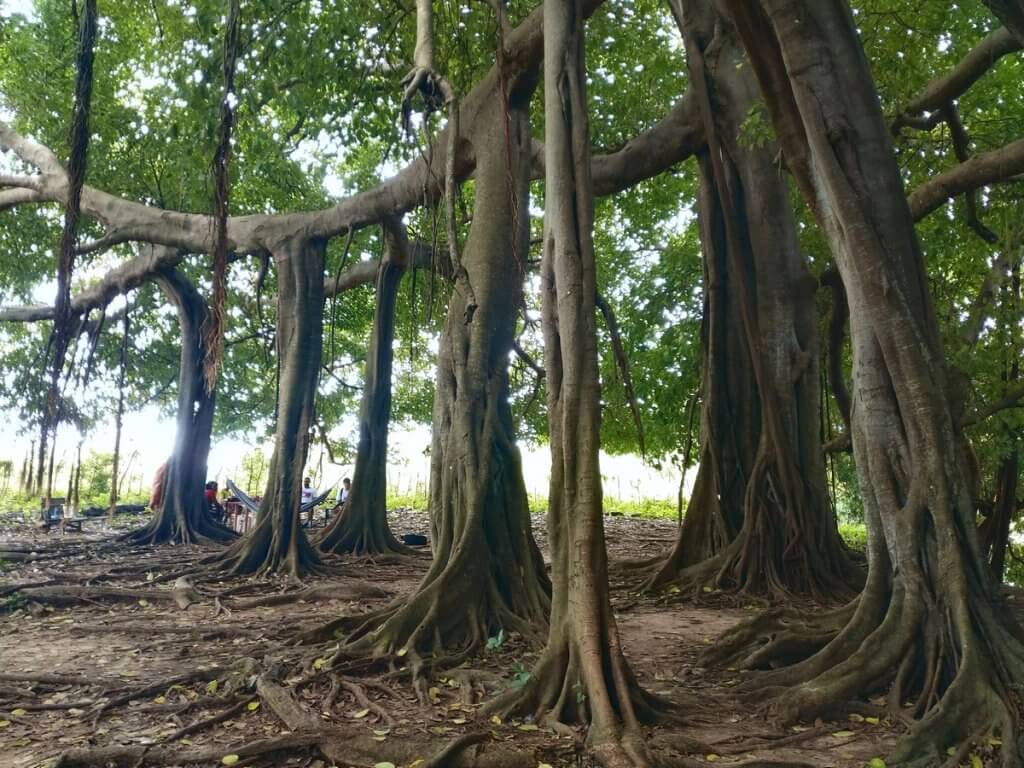 Isla Fuerte - Off The Beaten Caribbean Island of Colombia - MiliMundo